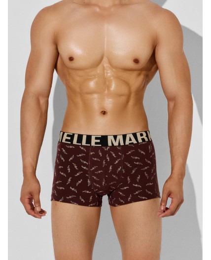 Трусы мечи на коричневом