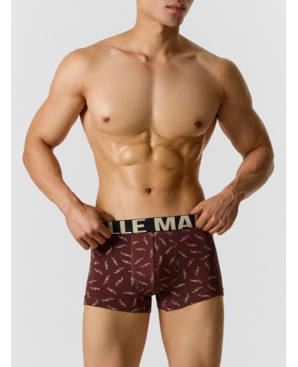 Трусы мечи на коричневом