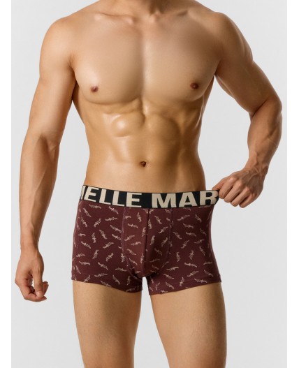 Трусы мечи на коричневом