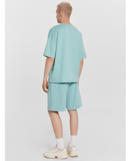 Комплект пыльная бирюза +печать