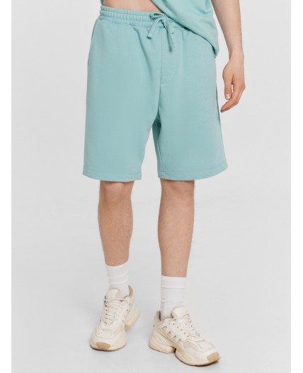 Комплект пыльная бирюза +печать