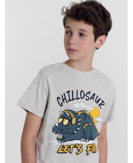 Футболка серый меланж 4306-А +динозавры на серо -зеленом