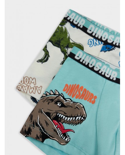 Трусы морские блики +динозавры на молочном