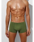 Трусы оливин +табак +черный