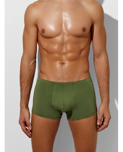 Трусы оливин +табак +черный