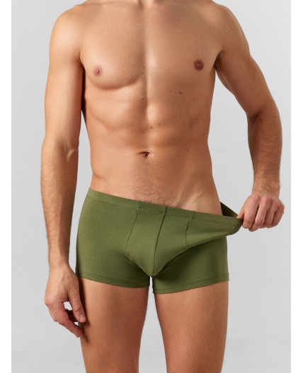 Трусы оливин +табак +черный