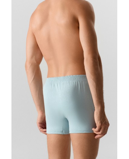 Трусы MF на полыни