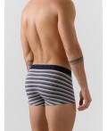 Трусы полоска горизонтальная