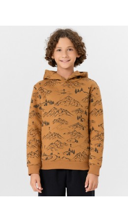 Худи горы на цвете орех