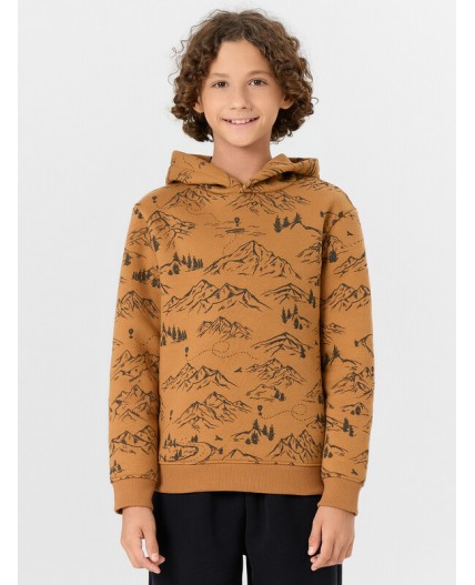 Худи горы на цвете орех