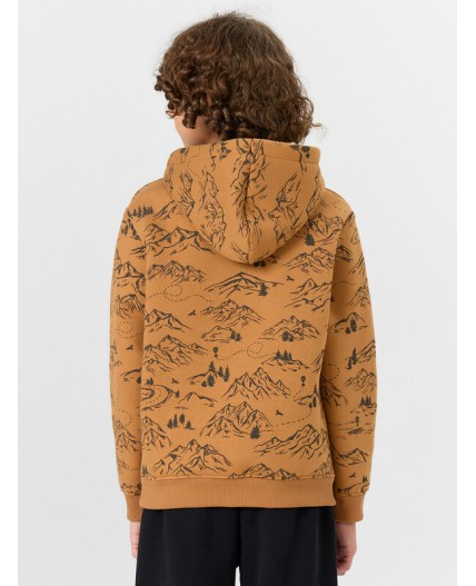 Худи горы на цвете орех