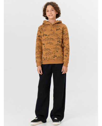 Худи горы на цвете орех