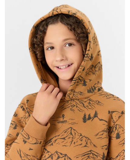 Худи горы на цвете орех