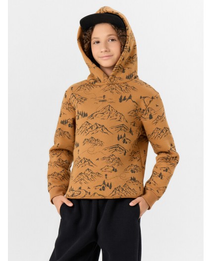 Худи горы на цвете орех