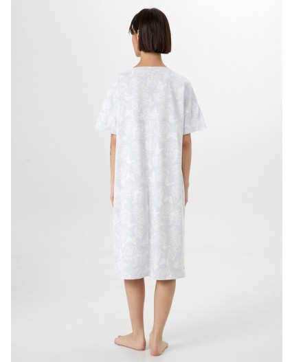 Сорочка бабочки на тумане