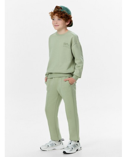 Комплект полынь +печать