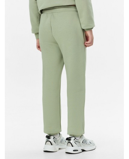 Комплект полынь +печать