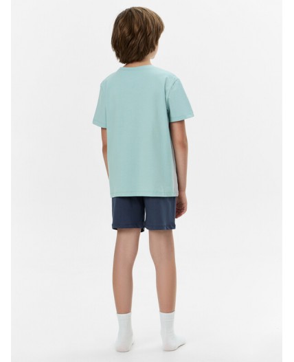 Комплект мята +гроза +печать