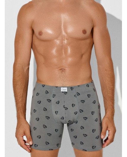 Трусы зубры на т.сером