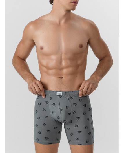 Трусы зубры на т.сером