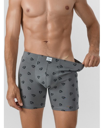 Трусы зубры на т.сером