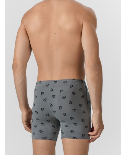 Трусы зубры на т.сером