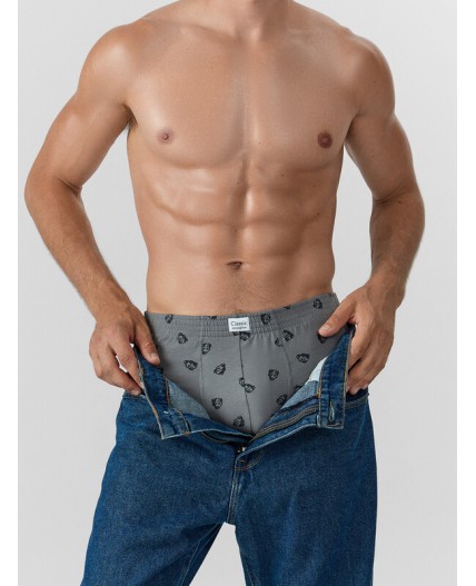 Трусы зубры на т.сером