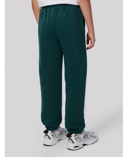 Брюки хвойно -зеленый