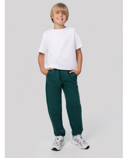 Брюки хвойно -зеленый