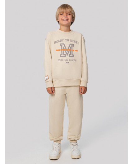 Комплект туман +печать