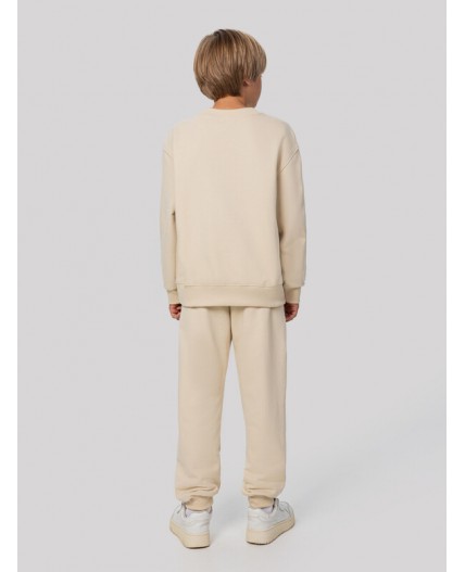 Комплект туман +печать