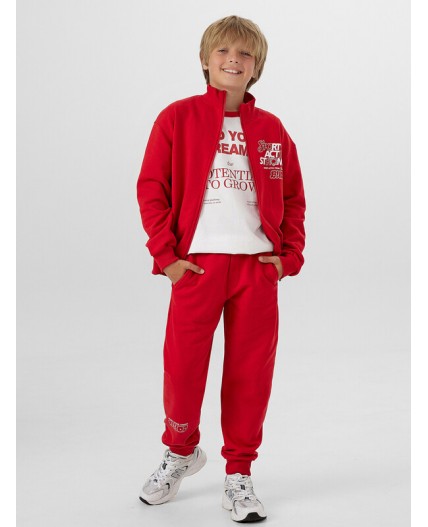 Брюки алый +печать