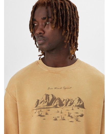 Свитшот ACID WASH песчаный +печать