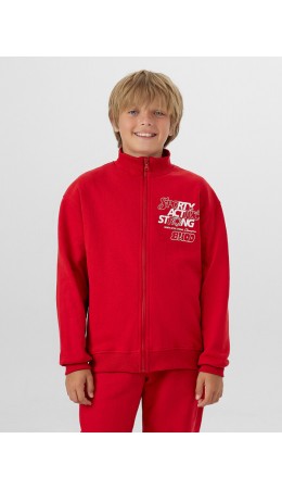 Толстовка алый +печать