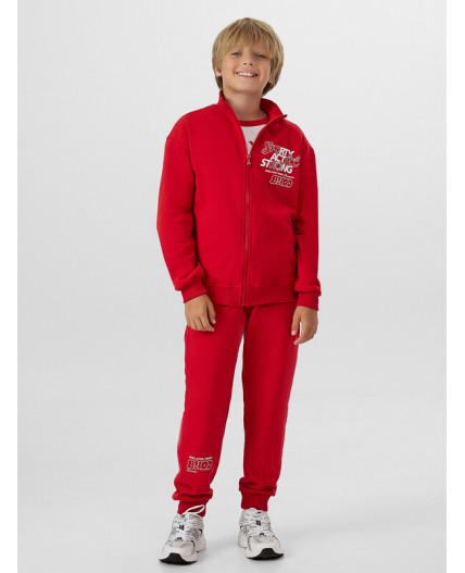 Толстовка алый +печать