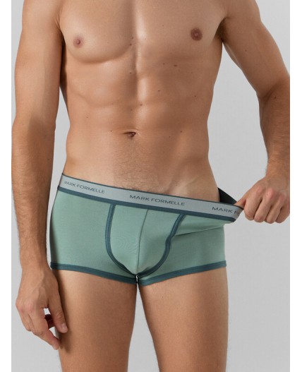 Трусы зеленый лед