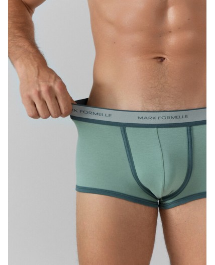 Трусы зеленый лед