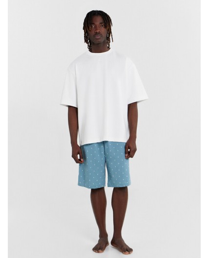 Шорты якоря на морской волне