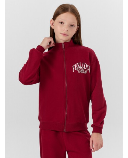 Толстовка вишневый +печать