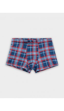Трусы красно -синяя клетка