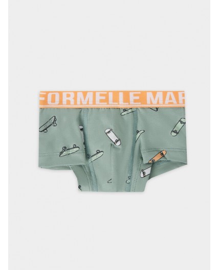 Трусы скейты на зеленом