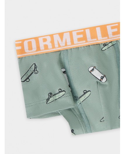 Трусы скейты на зеленом