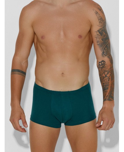 Трусы зеленый +атлантическая глубина +мешки денег на черном