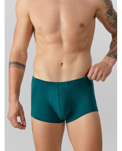 Трусы зеленый +атлантическая глубина +мешки денег на черном