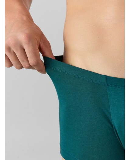 Трусы зеленый +атлантическая глубина +мешки денег на черном