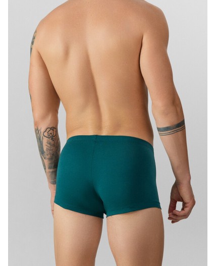 Трусы зеленый +атлантическая глубина +мешки денег на черном