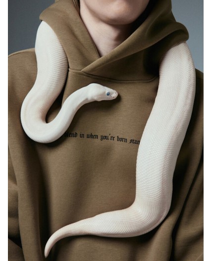 Худи хаки +печать