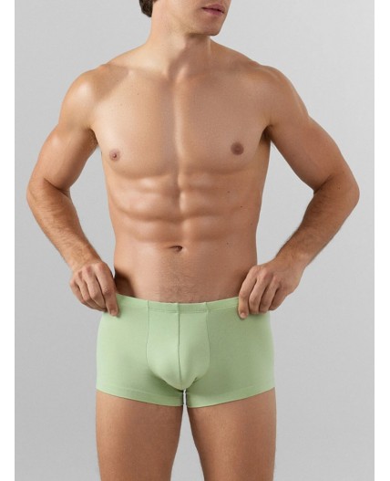 Трусы св.зеленый +зеленый лед +птицы на зеленом