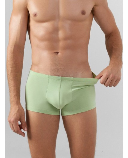 Трусы св.зеленый +зеленый лед +птицы на зеленом