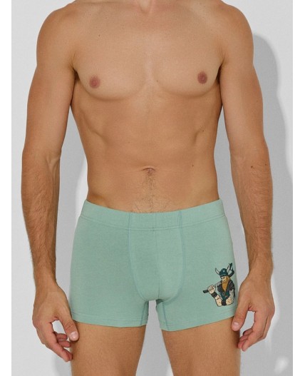 Трусы зеленый лед +печать